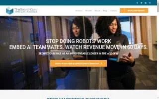The Search Guru website