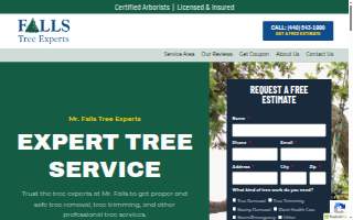 Mr. Falls Tree Experts