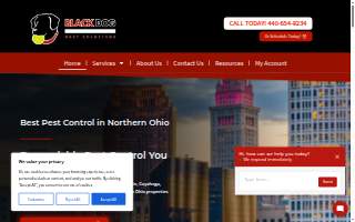 Black Dog Pest Solutions