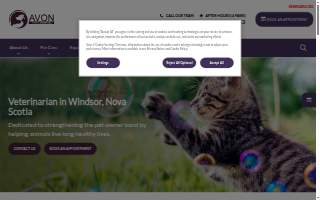 Avon Animal Hospital