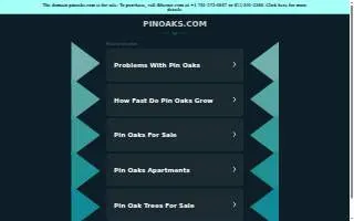 Pin Oak Self Storage of Avon website