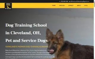 Midas Touch K9 Academy website