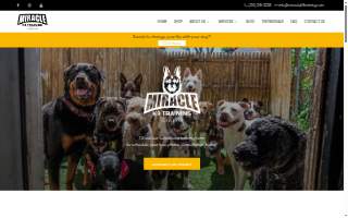 Miracle K9 Training of Berea