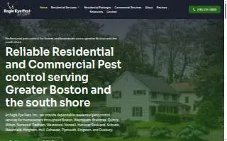 Eagle Eye Surveying website