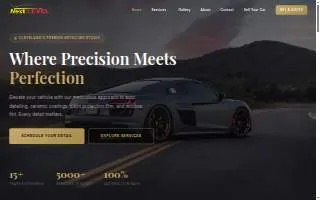 Next Level Auto Detailing of Broadview Heights website
