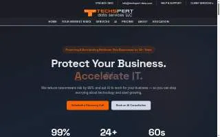 Techspert Data Services, LLC website