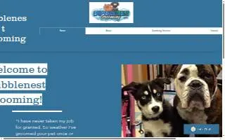 Bubble-Nest Grooming website