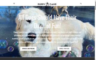 Puppy Camp