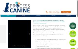 Process Canine