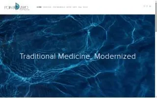 Point Zero Acupuncture website