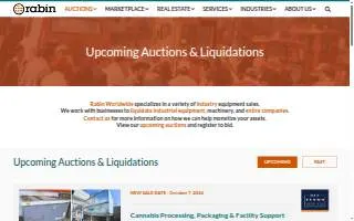 Rabin & Rabin Co., L.P.A. website