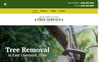 Been There Cut That LLC Tree Service