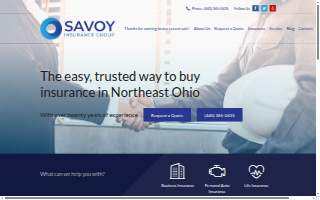 Savoy Insurance Group