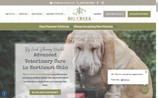 Big Creek Veterinary