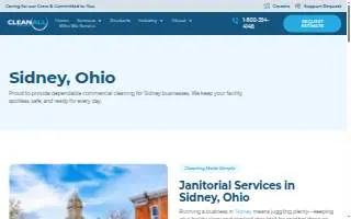 Clean All Services website