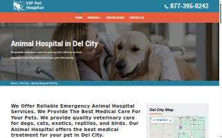 City Animal Hospital
