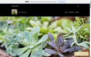 Connected Wellness LLC