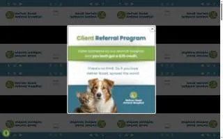 Hefner Road Animal Hospital website