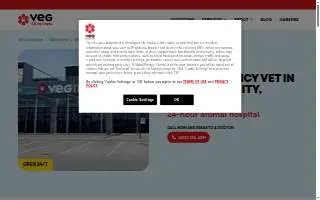 VEG ER for Pets of Oklahoma City website