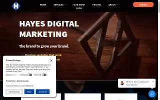 Hayes Digital Marketing website