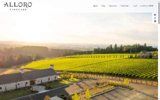 Alloro Vineyard