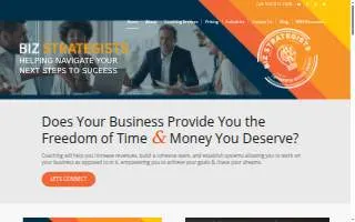 Biz Strategists LLC website