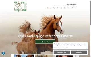 Valley Equine Veterinary Service Inc