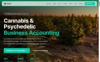 Calyx CPA LLC website