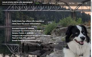 Solid State Tax & Life Insurance