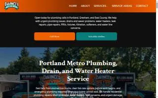 Da Vinci's Best Plumbing website