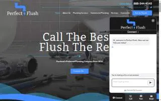Perfect Flush of Portland website