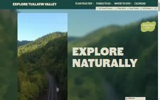 Tualatin Valley Dental website