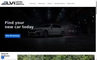 Lehigh Valley Imports website