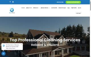 Clean Pros