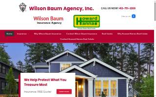 Wilson Baum Agency Inc