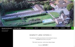 Brandy Lane Kennels