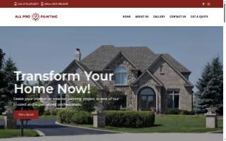 All Pro Custom Painting