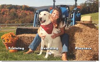 Tall Tails Training & Boarding