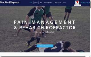 Pain Free Chiropractic