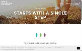 Steimer Counseling & Consulting website
