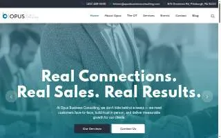 Opus Business Consulting of Wilkinsburg website