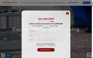 Carpet Cleaning Experts