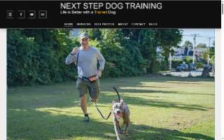 Next Step Dog Training