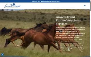 Grand Strand Equine