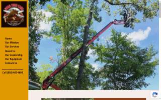 Bear Tree Care LLC - Ballentine, Irmo, Chapin