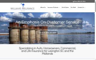 Williams Insurance Team