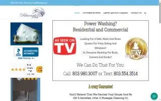 Blueagle Pressure Washing website