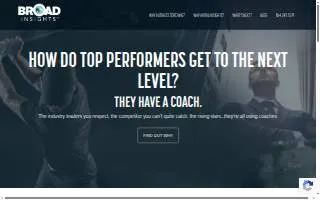 Broad Insights website
