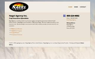 Nagel Agency
