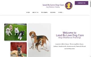 Lead by Love Dog Care